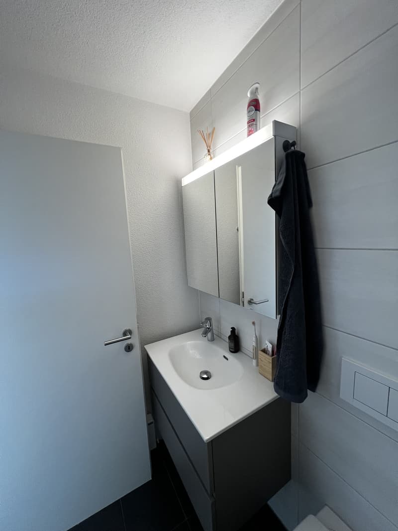 2.5 room apartment limited until 31.12.2026 (11)