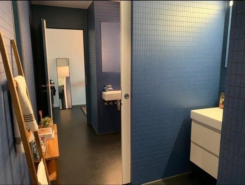 Miete Wohnung möbliert (4)