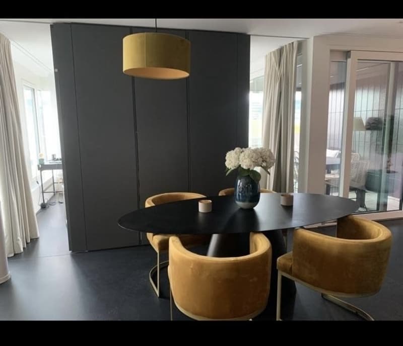Miete Wohnung möbliert (8)