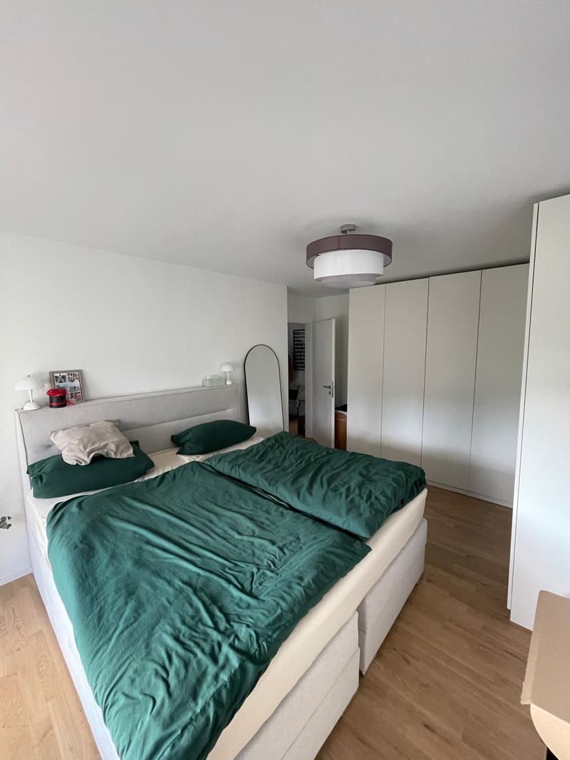 3 1/2 Zimmer Wohnung (6)