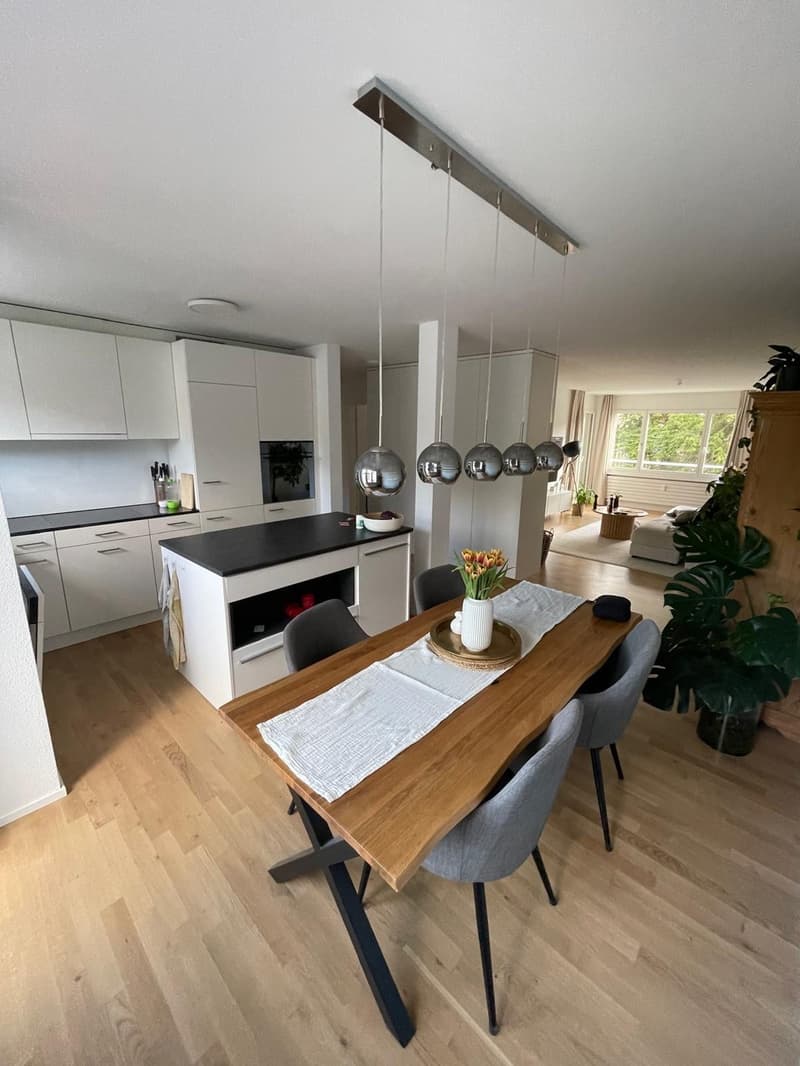 3 1/2 Zimmer Wohnung (1)