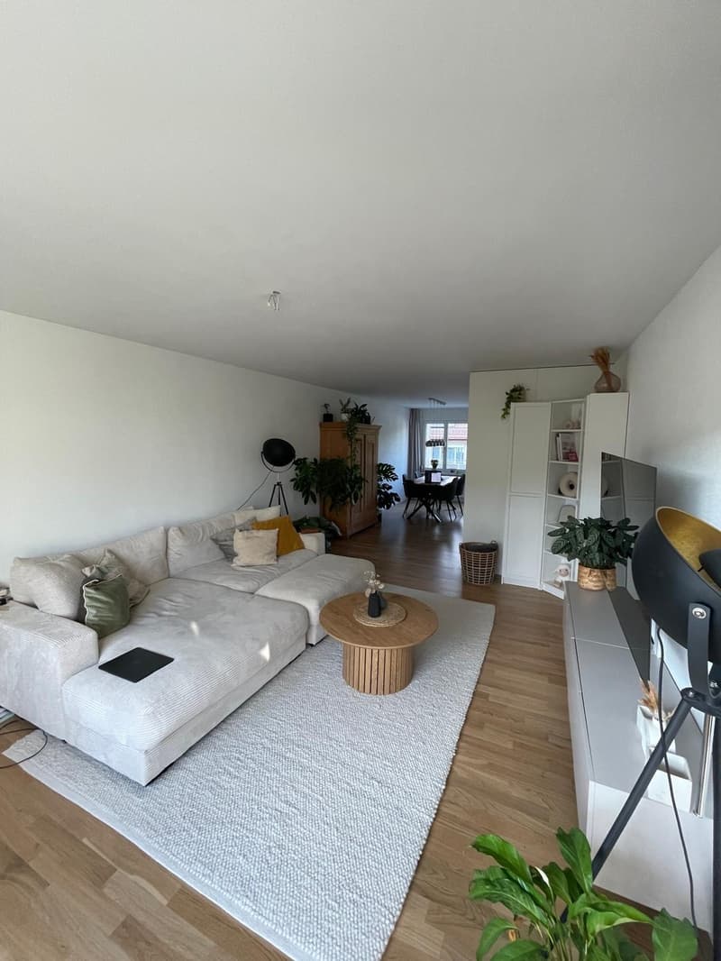 3 1/2 Zimmer Wohnung (3)