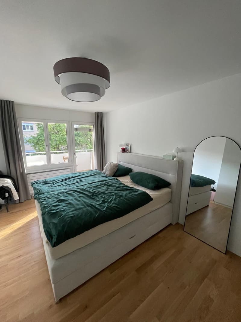 3 1/2 Zimmer Wohnung (5)