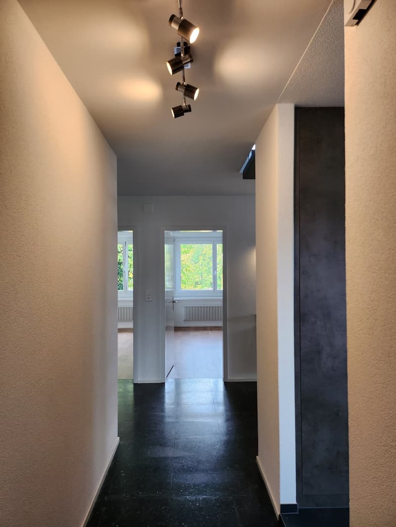6,5 Zimmer Duplexwohnung ab sofort (10)