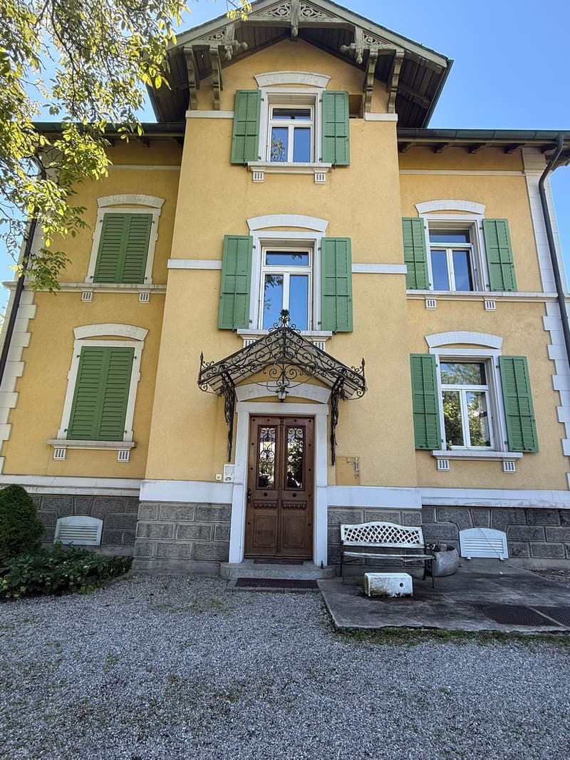 Sehr grosse Familienwohnung mit viel Platz, auf zwei Etagen (Duplex) (2)