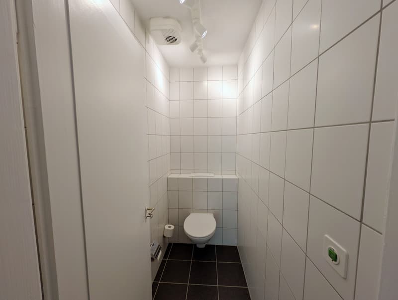 Neu renovierte und wunderschöne 4.5-Zimmer-Wohnung, im Herzen von Zürich (13)