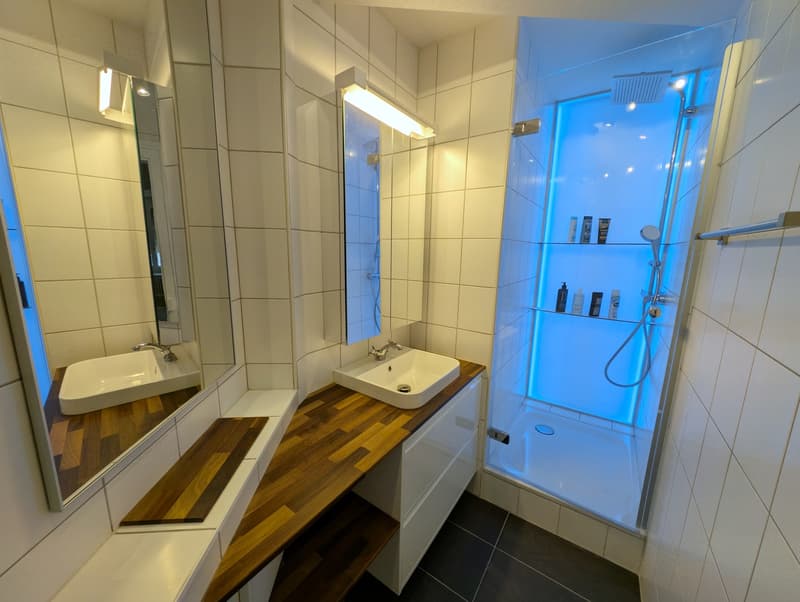 Neu renovierte und wunderschöne 4.5-Zimmer-Wohnung, im Herzen von Zürich (11)
