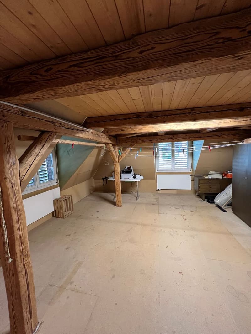 Ampio appartamento a Steckborn con balcone, caminetto e posto auto vicino al lago (11)