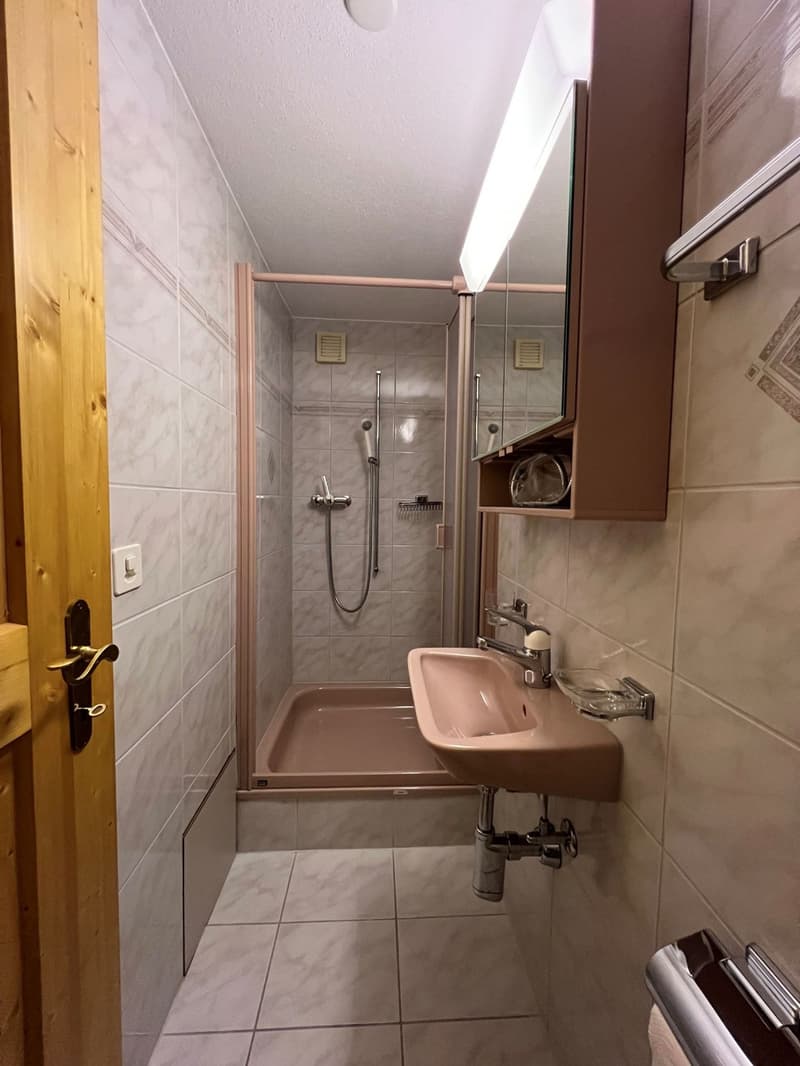Ampio appartamento a Steckborn con balcone, caminetto e posto auto vicino al lago (8)