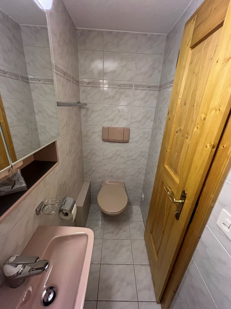 Ampio appartamento a Steckborn con balcone, caminetto e posto auto vicino al lago (9)