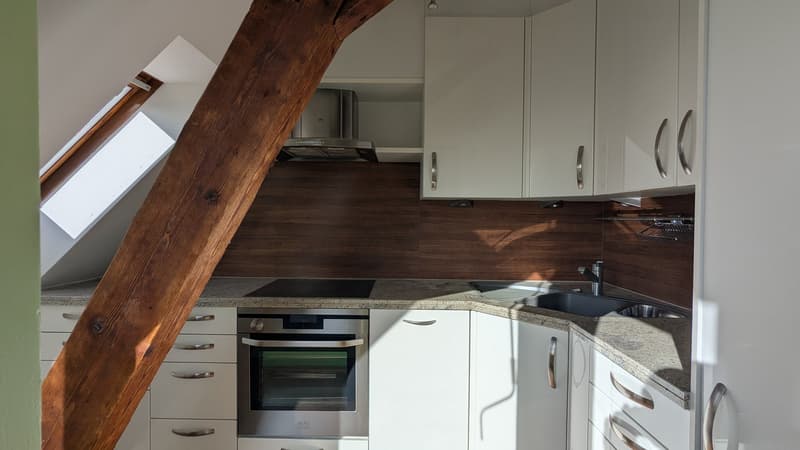 Charmante Loftwohnung mit Le-Corbusier-Farbakzent ideal für Singles oder Paare (3)