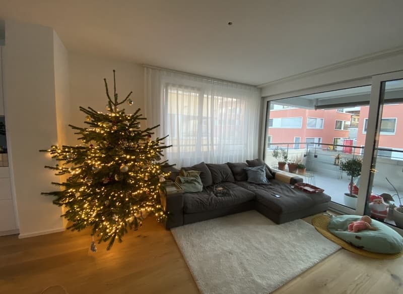 New, Central 4.5 Room Apartment with View near Cantonal Hospital (7)