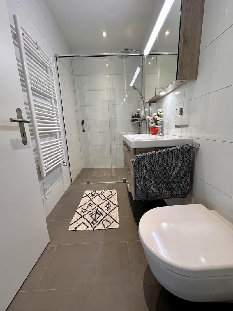 New, Central 4.5 Room Apartment with View near Cantonal Hospital (4)
