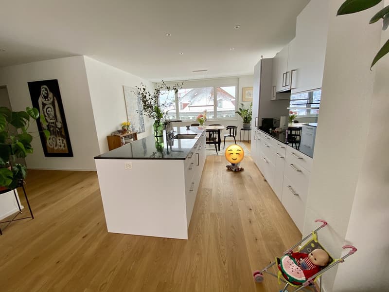 New, Central 4.5 Room Apartment with View near Cantonal Hospital (2)