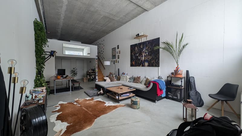 Subletting my loft / Loft zur Untermiete (78m2) (1)