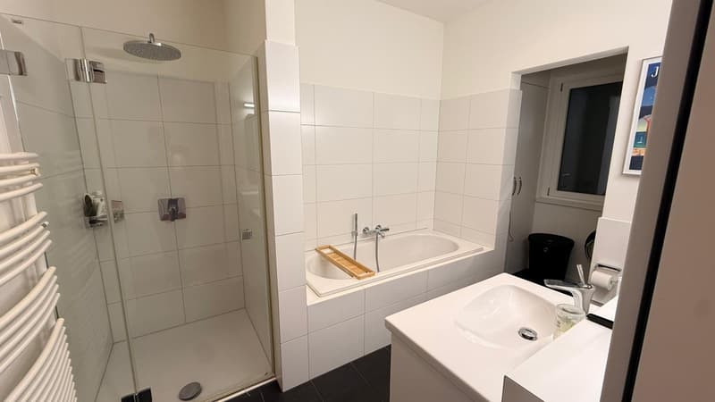 3.5 Room Terrace apartment (8)