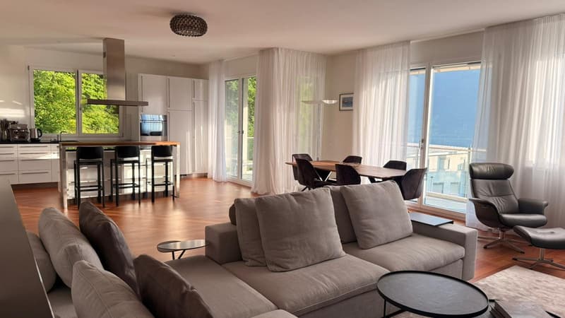 3.5 Room Terrace apartment (2)