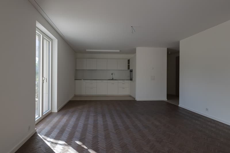 Exklusive 3.5 Zi- Neubauwohnung (100m²) mit 43m² Aussenfläche nahe Zürich (1)