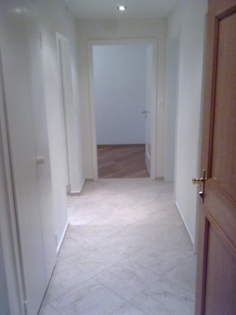 Pour les décideurs rapides ! Bel appartement 3 pièces, très central (3)