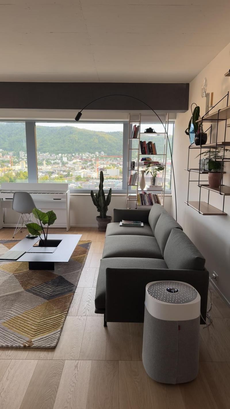 Appartamento 2,5 locali a piano alto, vista aperta sulla città e Uetliberg (2)