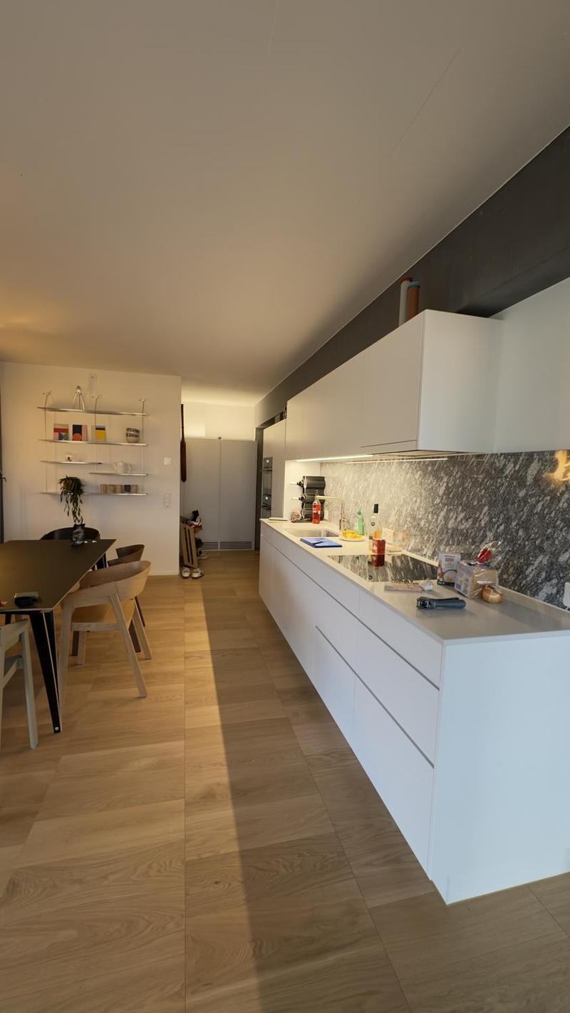 Appartamento 2,5 locali a piano alto, vista aperta sulla città e Uetliberg (3)