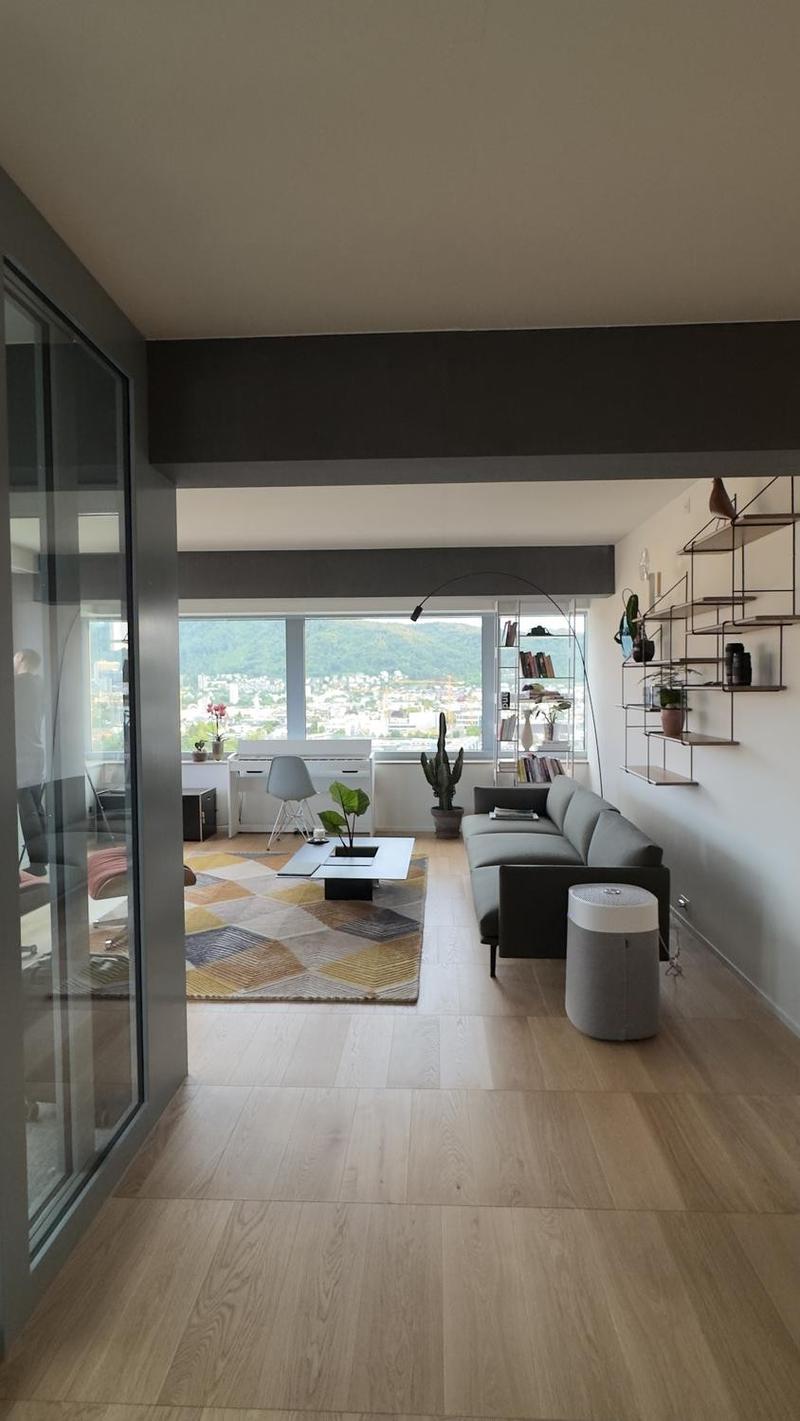 Appartamento 2,5 locali a piano alto, vista aperta sulla città e Uetliberg (5)