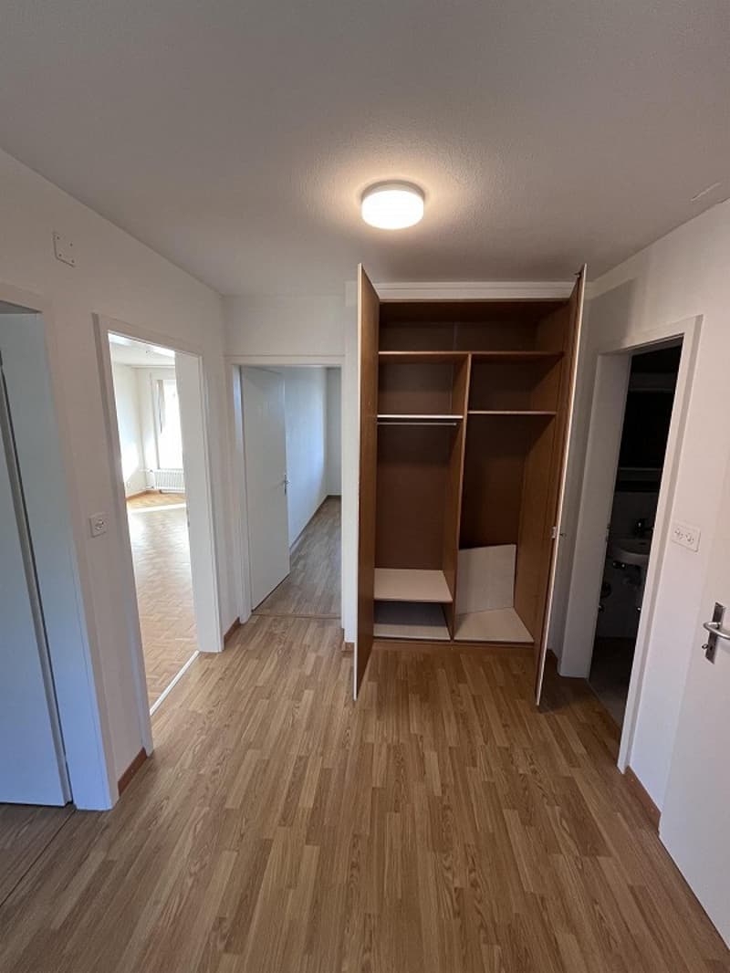 Room in shared apartment for rent in Erlinsbach (AG) (8)