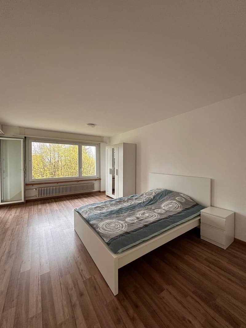 Room in shared apartment for rent in Erlinsbach (AG) (2)