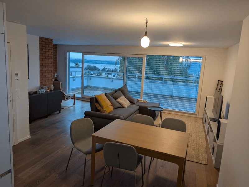 Großes 2.5-Zimmer-Apartment in Zug mit Terrasse, Kamin, Abstellraum (1)