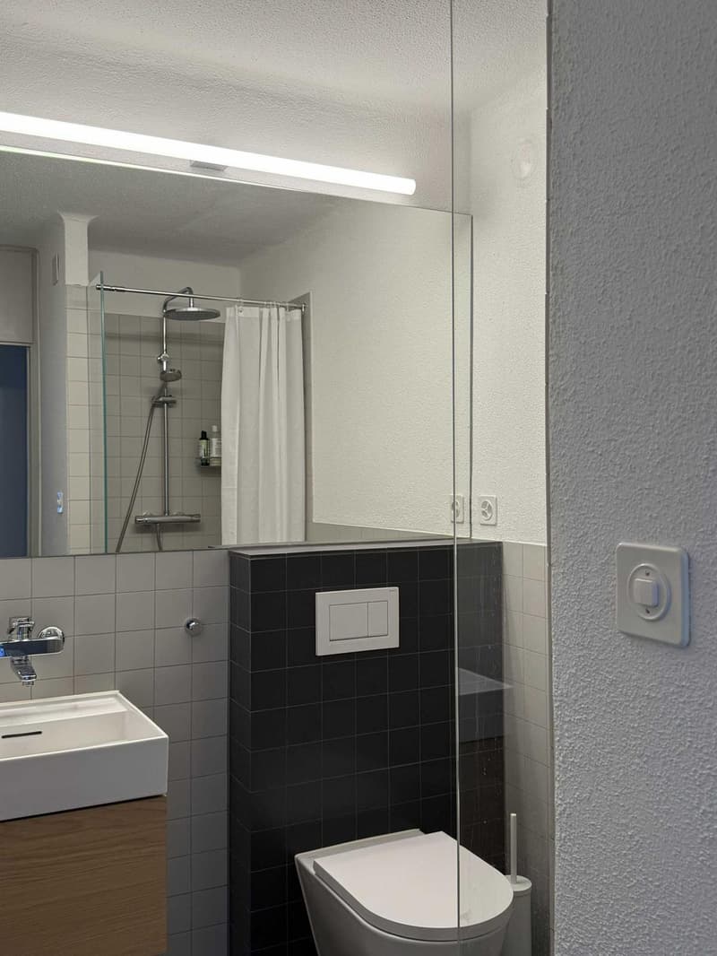 Appartement spacieux et lumineux à Hongg avec accès au jardin (12)