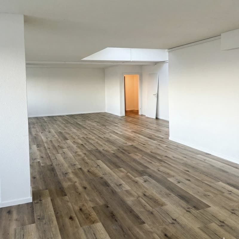 90 m² di ufficio in attico con terrazza privata sul tetto a Fällanden (6)