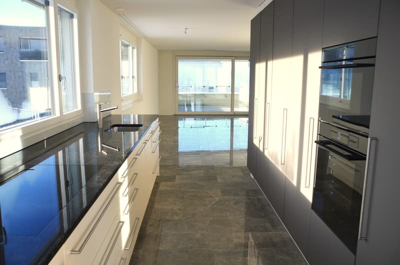 Appartamento di 4 1/2 locali nuovo nel standard di proprietà occupata! (2)