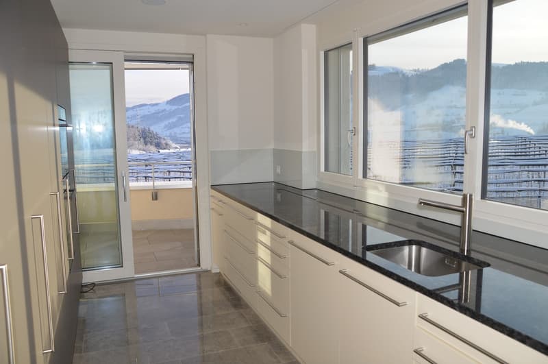 Appartamento di 4 1/2 locali nuovo nel standard di proprietà occupata! (1)