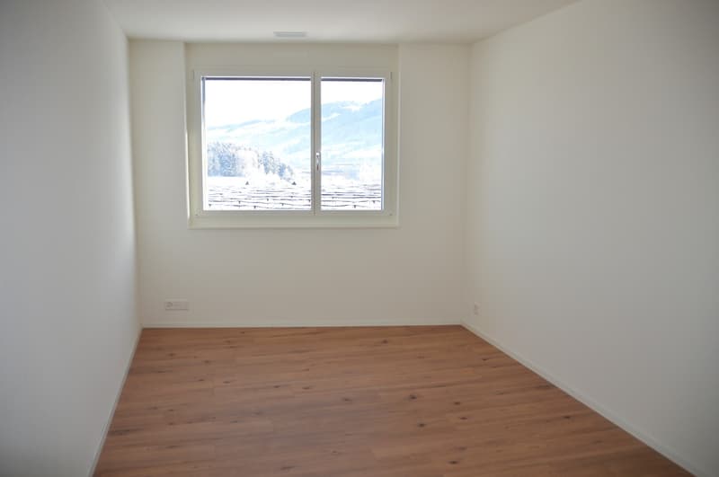 Appartamento di 4 1/2 locali nuovo nel standard di proprietà occupata! (7)