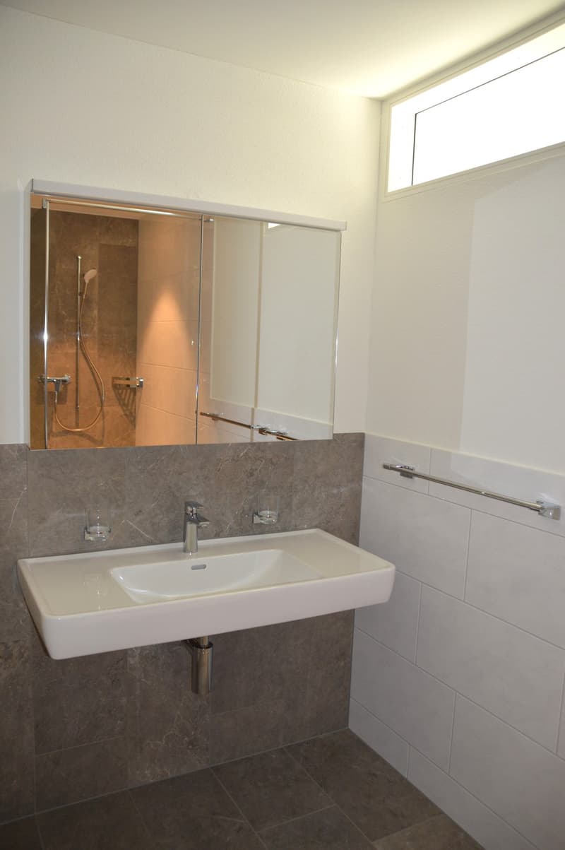 Appartamento di 4 1/2 locali nuovo nel standard di proprietà occupata! (5)