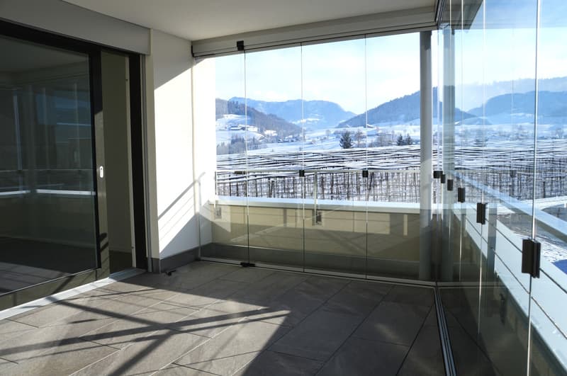 Appartamento di 4 1/2 locali nuovo nel standard di proprietà occupata! (4)