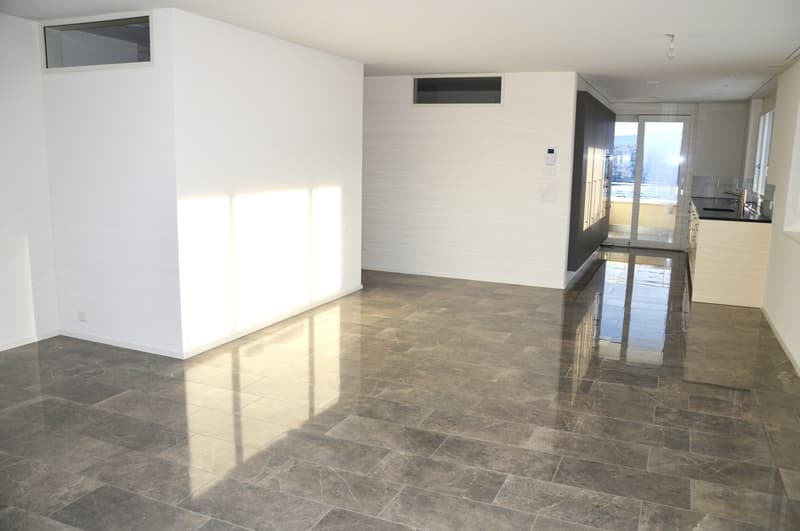 Appartamento di 4 1/2 locali nuovo nel standard di proprietà occupata! (3)