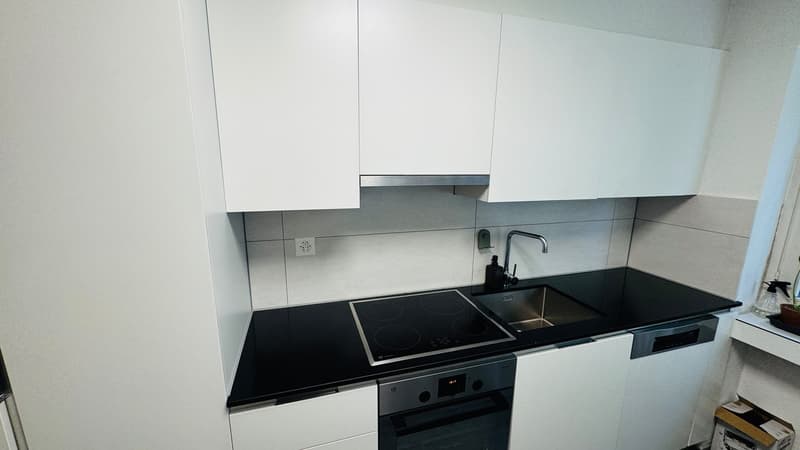 3.5 rooms apartment in Wiedikon (11)