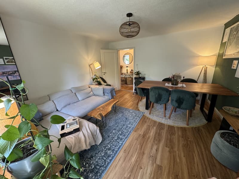 3.5 rooms apartment in Wiedikon (3)