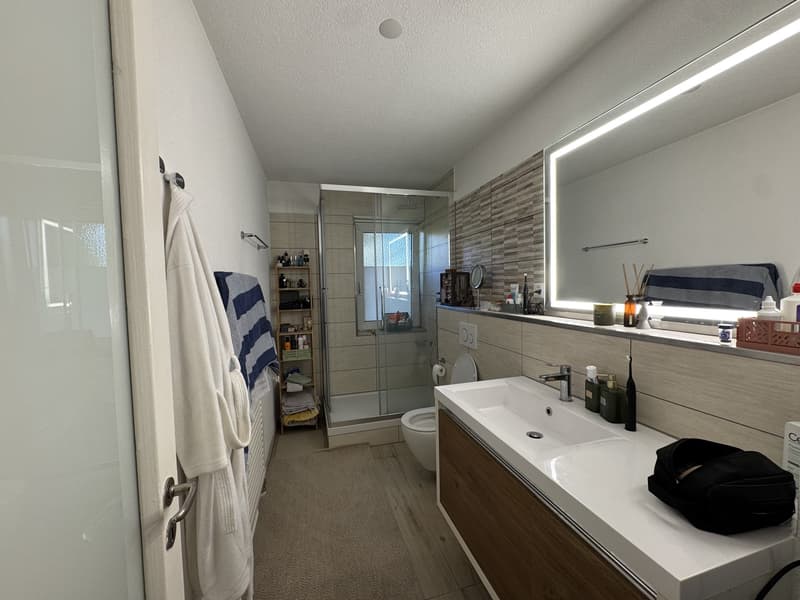 3.5 rooms apartment in Wiedikon (13)