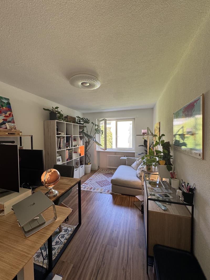 3.5 rooms apartment in Wiedikon (7)