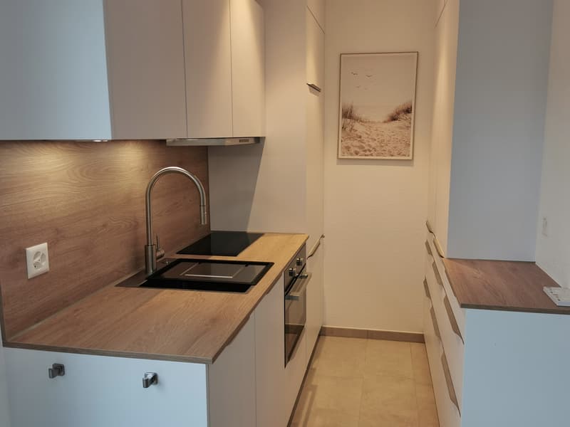 Nuovo, arredato, monolocale con terrazza di 20m2 (3)