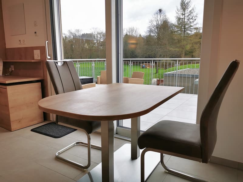 Nuovo, arredato, monolocale con terrazza di 20m2 (10)