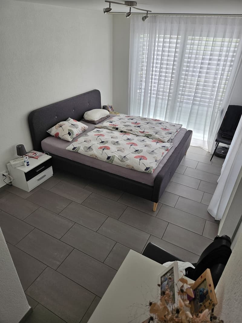 Appartamento luminoso 4.5 locali con ampio balcone e ascensore a Hölstein BL (6)
