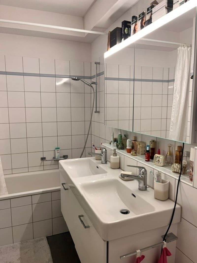 Appartement attique de rêve, sur deux étages, avec vue sur le lac (5)