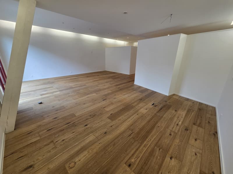 Einzigartige 3 Zimmer Loftwohnung mit Wintergarten & Garten (9)