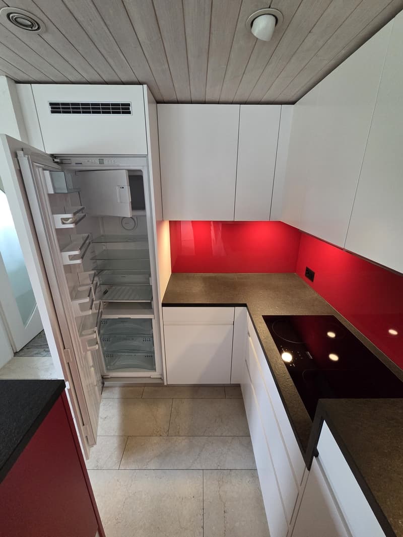 Appartement loft unique de 3 pièces avec jardin d'hiver et jardin (10)