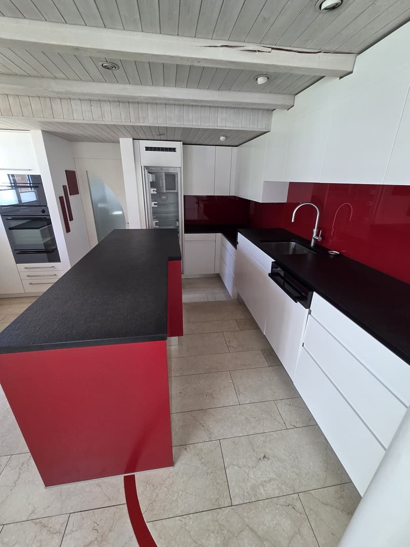 Appartement loft unique de 3 pièces avec jardin d'hiver et jardin (9)