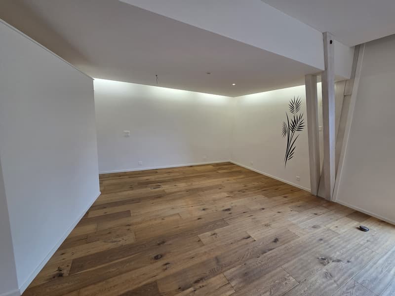 Einzigartige 3 Zimmer Loftwohnung mit Wintergarten & Garten (13)