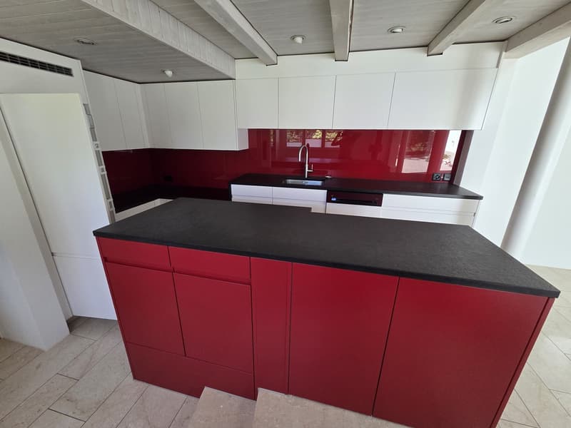Appartement loft unique de 3 pièces avec jardin d'hiver et jardin (8)